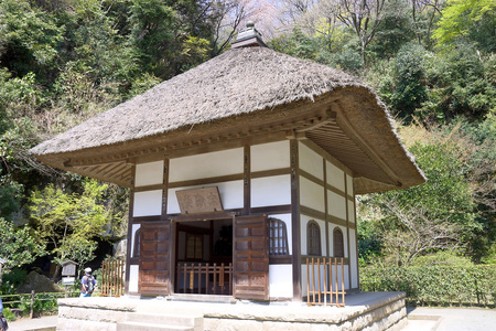 meigetsu 在寺 镰仓，日本