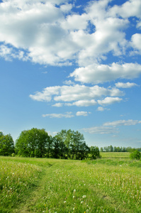 夏天实地风景