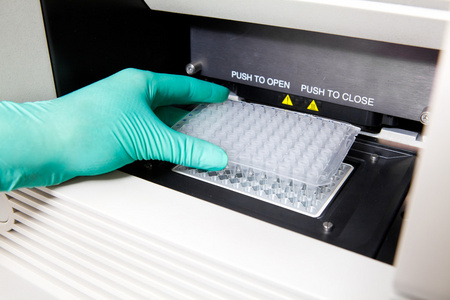 绿色手套 热 pcr 循环 dna 复制 宽