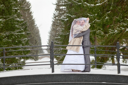 年轻人婚礼高加索俄罗斯几站雪园一座桥上。俄罗斯的冬季