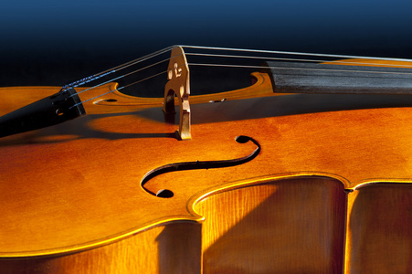 大提琴或大提琴