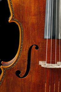 黑色背景上的大提琴