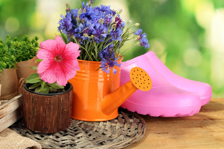 喷壶，橡胶靴和绿色背景上的木桌上鲜花