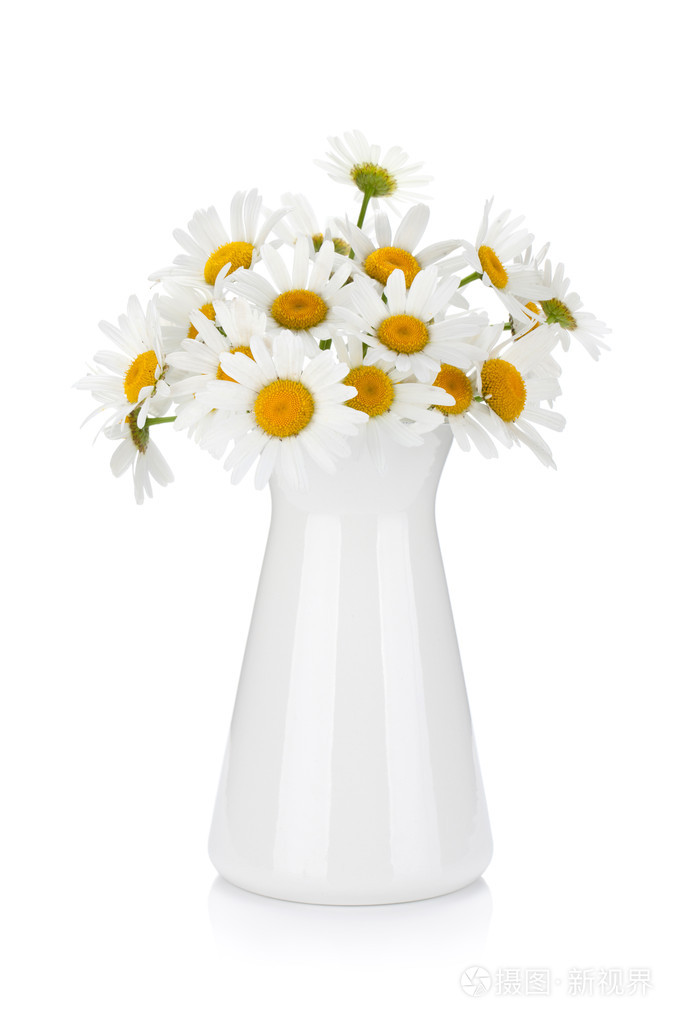 洋甘菊花束花瓶里