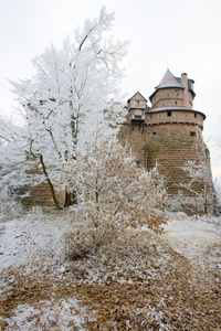 法国的阿尔萨斯，奥 koenigsbourg 城堡