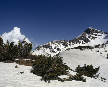 皮林山