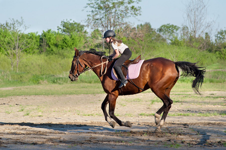 阿拉伯板栗马马头马头在黑色红马孤立在黑色的马头儿童湾骑马大领域.