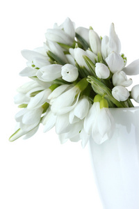 束美丽的白色上孤立的花瓶里五彩缤纷