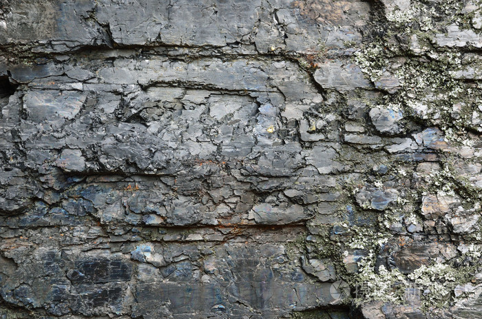 黑色化石煤表面的特写