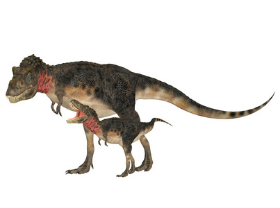 成年和青年 tarbosaurus