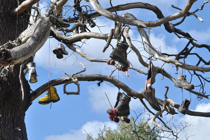 老穿靴子挂在一棵树上