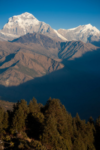 美丽的景色与雪早上在喜马拉雅山脉的时候看到从 ghorepani 村，潘山徒步方式，尼泊尔