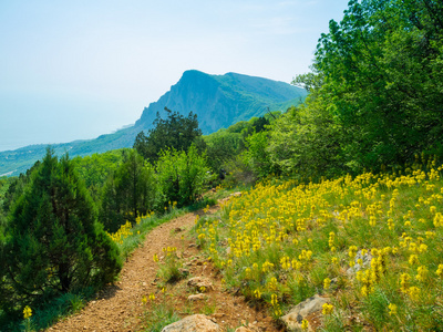 夏天在克里米亚山风景