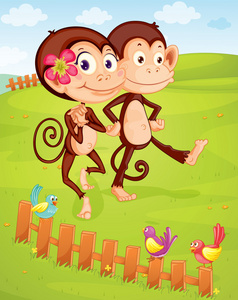 两个猴子