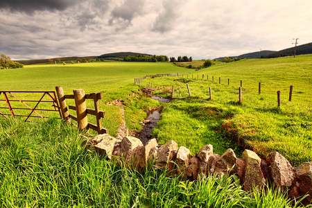 春季农村风景与石墙，苏格兰