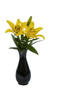 黄色老虎莉莉花瓶里盛开的鲜花图片
