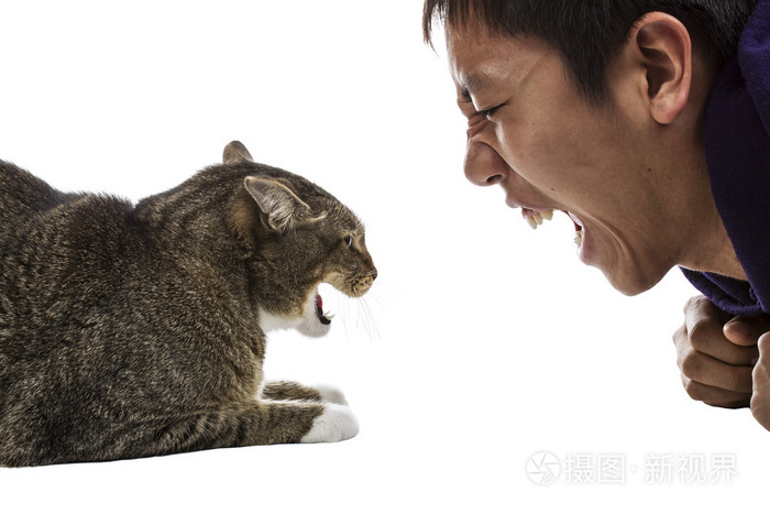 针对猫咆哮的男子面临