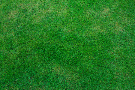 地面格子呢图片-地面格子呢素材-地面格子呢插画-摄图新视界