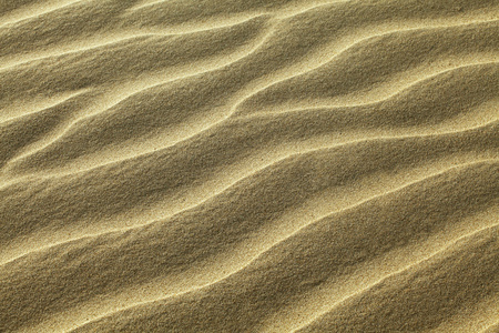波纹的砂