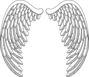 小天使的翅膀图片