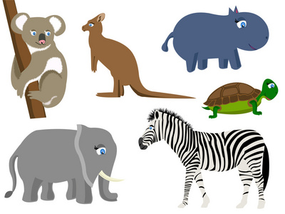 绿色考拉壁纸抽象的自然动物图案照片