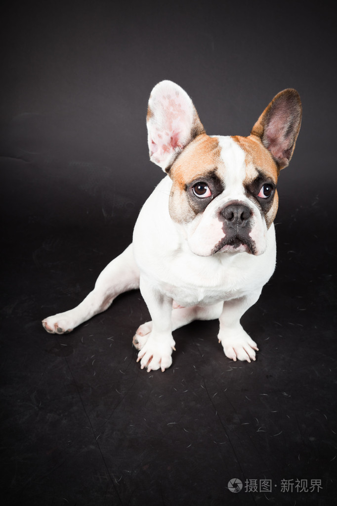 工作室拍摄照片-正版商用图片19prco-摄图新视界