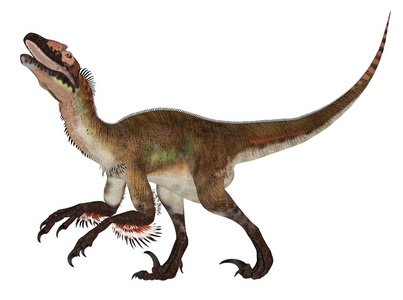 nanotyrannus 吃三角恐龙-3d 渲染tenontosaurus 攻击tarbosaurus 包