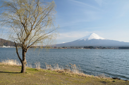 富士山