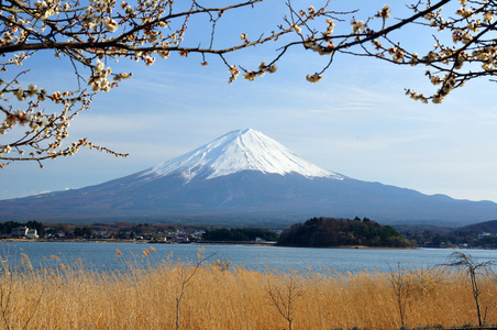 富士山