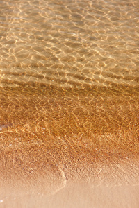 岸边的波罗的海黄金冲浪