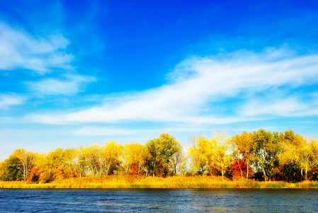 秋天的树木由河