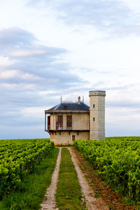 葡萄园 clos blanc de vougeot 城堡 勃艮第 法国