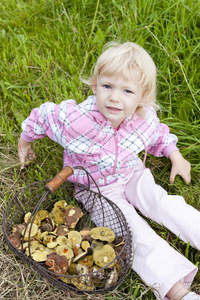 篮子里的蘑菇的小女孩