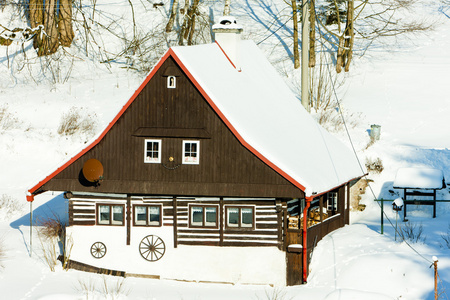 在冬天，bartosovice 在 orlicke 山，捷克共和国的小屋