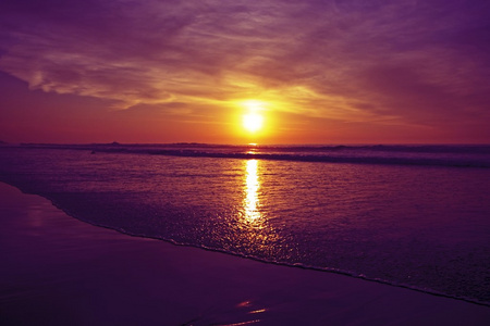 在荷兰海岸浪漫紫色红色夕阳图片