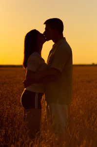 在阳光灿烂的夏天一天在麦田中亲吻的年轻夫妇