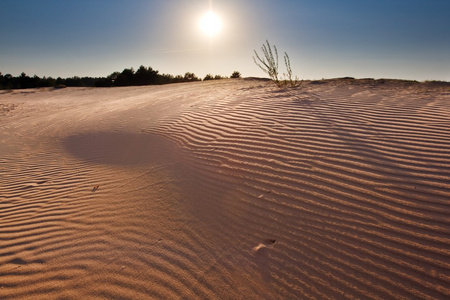 在晚会的沙质沙漠