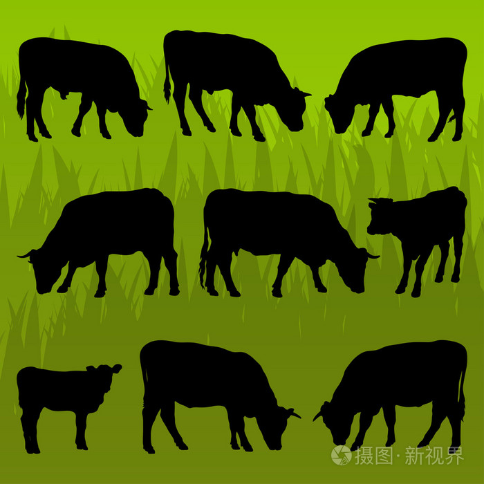 肉牛详细的剪影图背景矢量