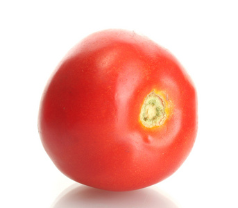 成熟的红番茄，白底隔离