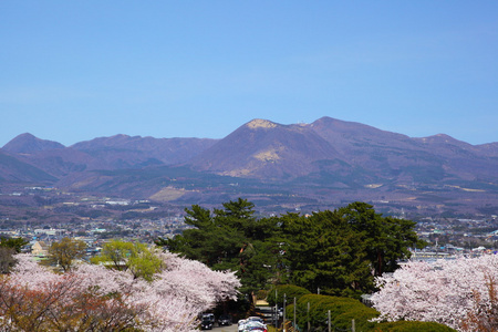 赤城山和樱桃树