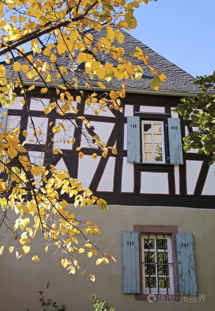 秋天的叶子半砖木结构的老房子前