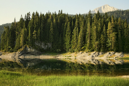 山 林 湖