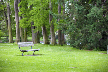 郁郁葱葱的绿色公园与长凳上安静的角落