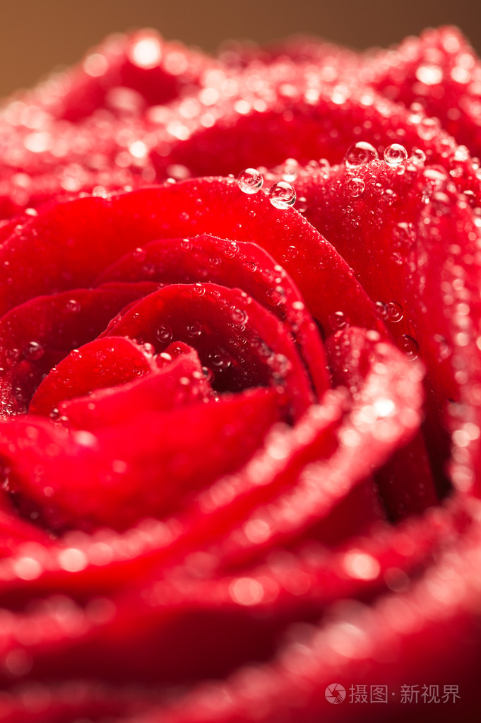 681_1023竖版 竖屏