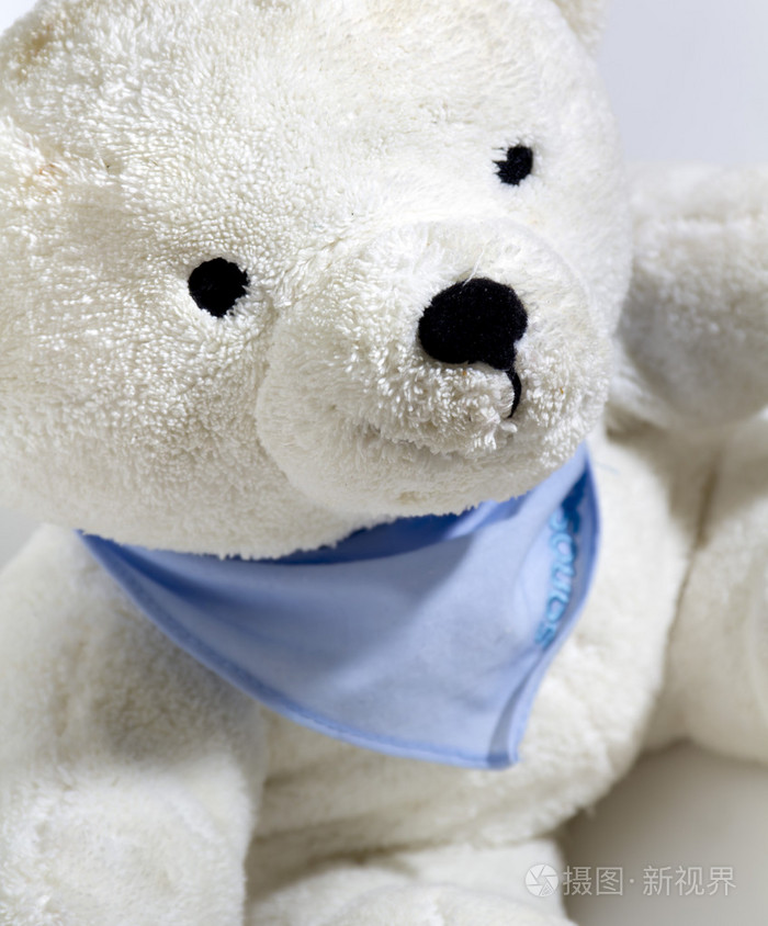 白色泰迪熊