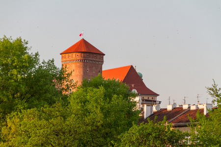 皇家城堡在瓦维尔，krarow