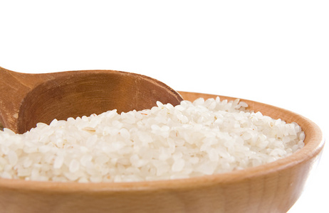 水稻在白色背景上隔离板