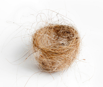 孤立的鸟巢编织从草和头发