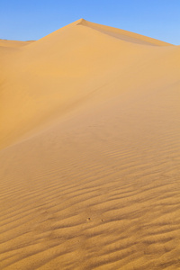 在日出在沙漠里的沙丘