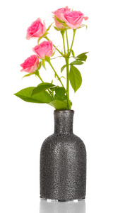 孤立在白色的花瓶里的粉玫瑰图片